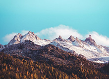 库里复出26分钟砍26分，勇士1分栽了火箭手里